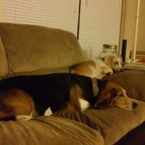 Meet your Posher, Debra